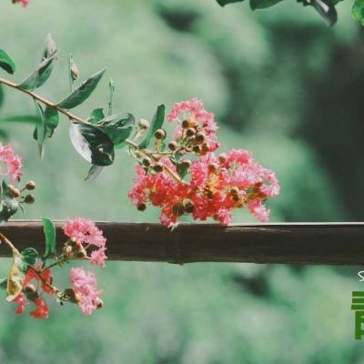 爱游戏APP·官方登录入口(ayx)手机app下载截图