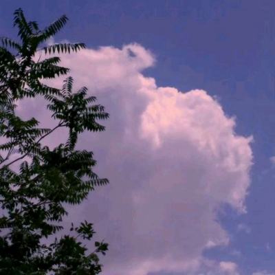 365体育亚洲官方入口app下载截图