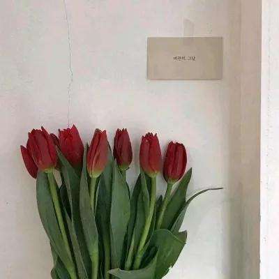 开元·app下载手机版