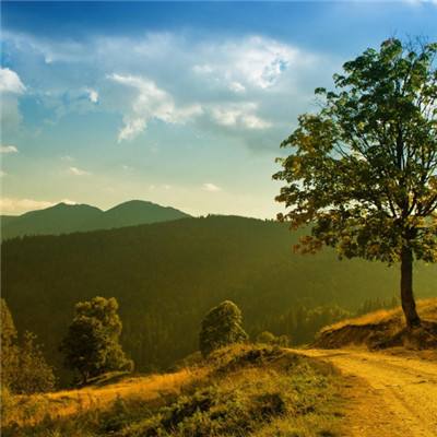 澳门黄金城手机app下载