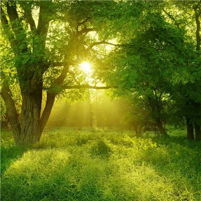 江南体育手机app下载