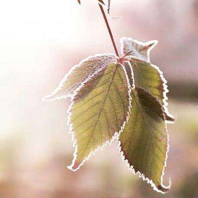 爱游戏APP·官方登录入口(ayx)手机app下载截图