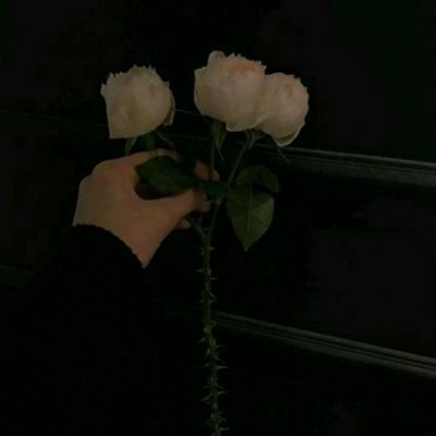 365体育亚洲官方入口app下载