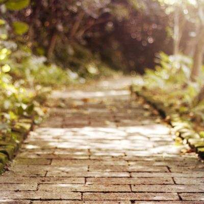 金沙集团1862成色